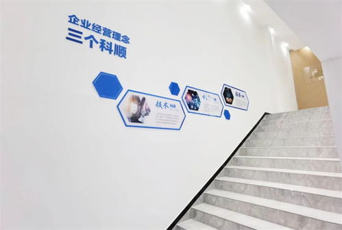 美好升级，焕新品牌 以技术服务驱动企业转型